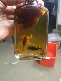 蝎子和蜈蚣泡酒的功能和作用